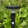 Nova Solar Post Light