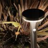 Nico solar post light