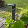 Delphi solar lawn light