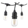 Radiance solar festoon string light bulbs