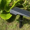 Dexter Solar Lawn Light