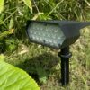 Dexter Solar Lawn Light