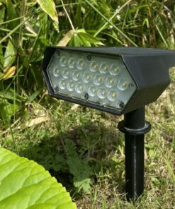 Dexter Solar Lawn Light