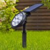 Sparkle Solar Lawn Light