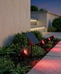 Solar Garden Lights Set of 4